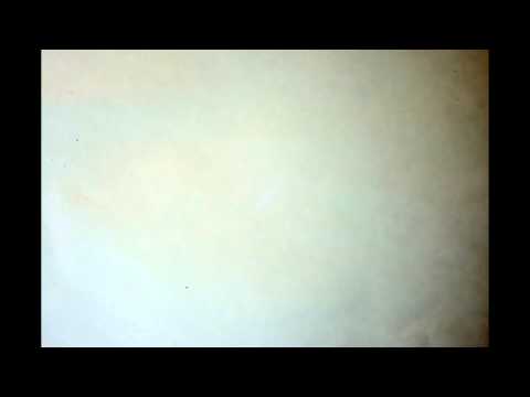 Nikon D600 Sensor Dust Timelapse (pt.3)