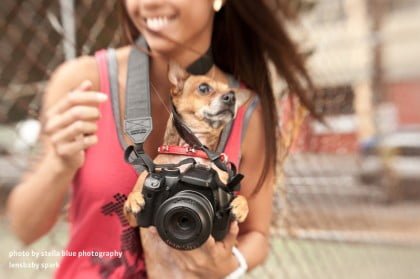 samplephoto spark stellabluephotography