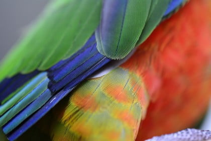 8160825169 604f2a549e b