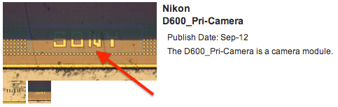 Nikon D600 sensor made by Sony
