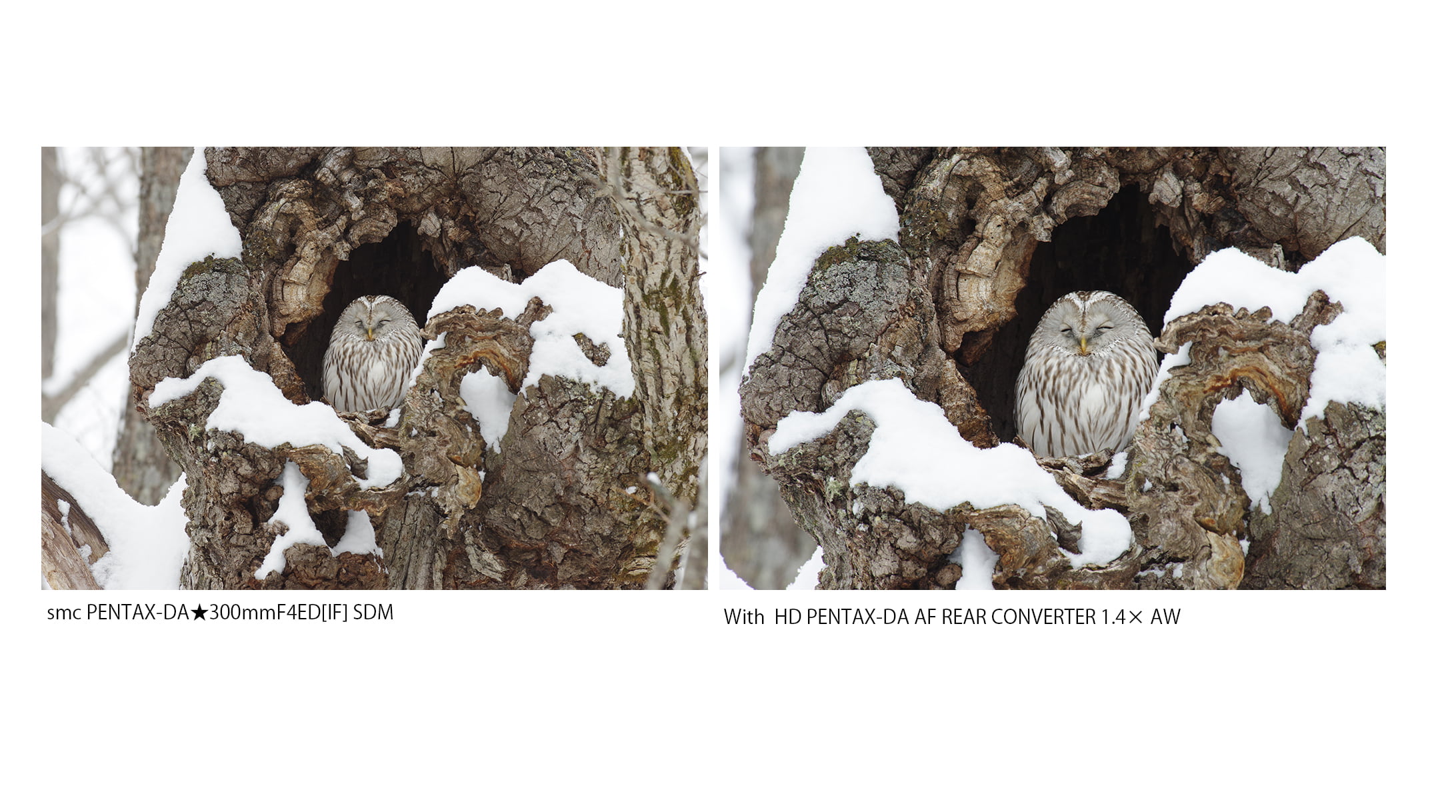 AF_REAR_CONVERTER_1.4_1