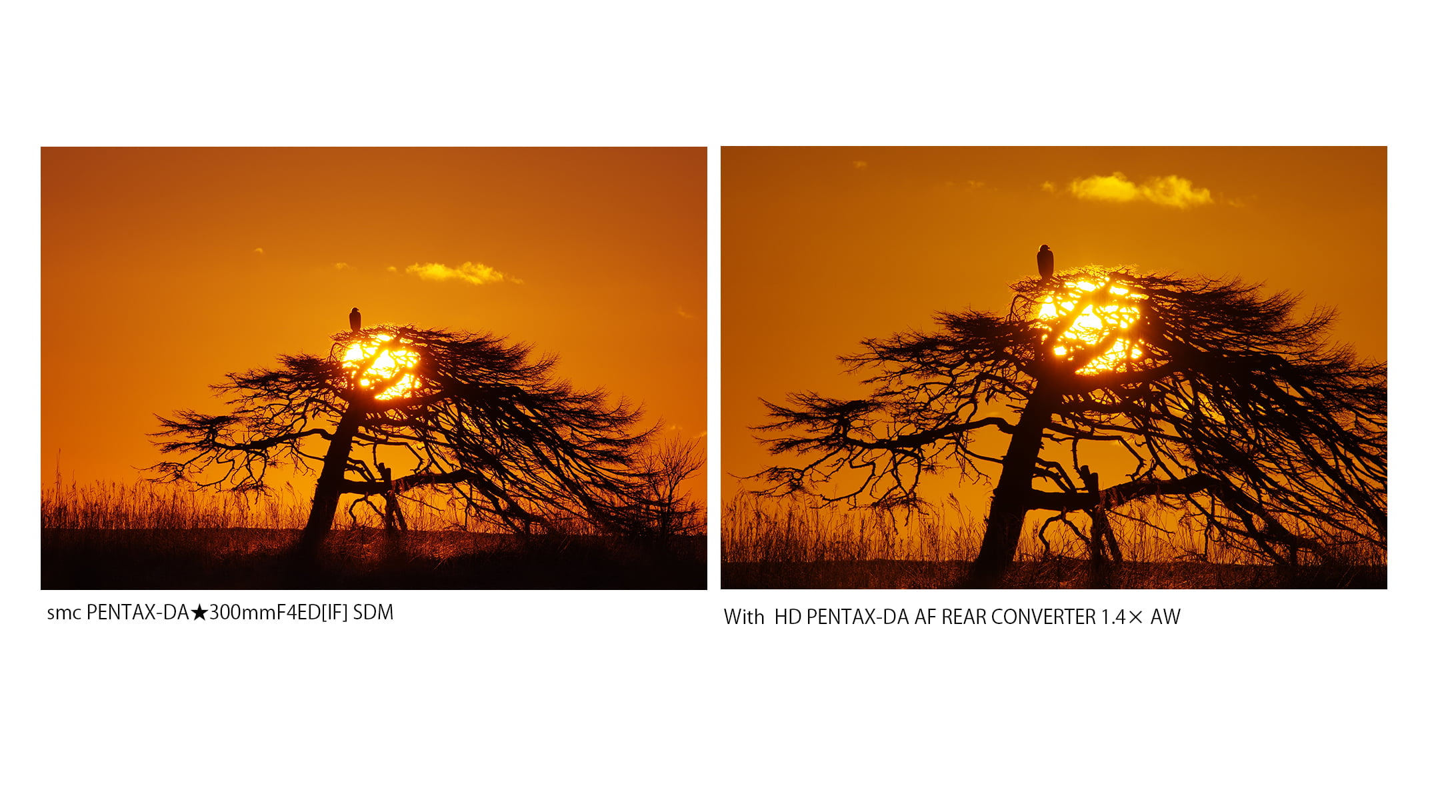 AF_REAR_CONVERTER_1.4_2