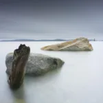 Benjamin Everett 907X & CFV 100C + XCD 38V 2 md